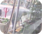 2011 05 03 - 13 32 26 - 4874625 - CamAlert.jpg