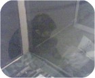 2011 05 04 - 21 17 21 - 7664186 - CamAlert.jpg