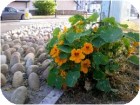 sample3.jpg